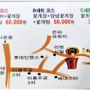군산굴비 네이버블로그