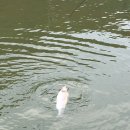 한터낚시터 이미지