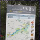 서리풀길 4 이미지