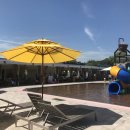 행유행유 이미지