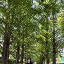 호로록냠냠 이미지