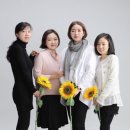 대지행정사무소 이미지