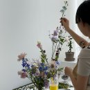 꼬티크