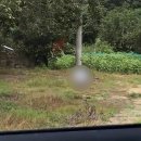 고수동 마을앞 | 부산 근교 청도 숙소 힐링 느좋 감성 폭발 재방문의사 100000 키에튀드 예약방법 예약꿀팁 솔직 후기