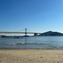 세븐일레븐 부산수변바다산책점 | 부산 광안리 여행 민락수변공원 애견동반 산책 추천