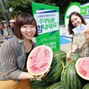 데이푸드 이미지