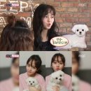군것질 - 동구 양지6길 20 | 군것질