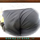 순금농장 이미지