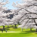 화정파크골프장 이미지