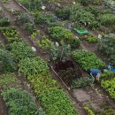 도봉농장 이미지