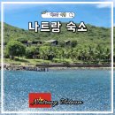 하바나 | 나트랑 호캉스 숙소 위치 추천 프리미어 하바나 호텔 가격 조식 후기 예약