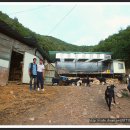 대성목장 이미지