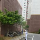 로취사이언스 네이버블로그