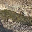 산과 자연의 쉼터 이미지