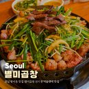 소원별미식당 | 잠실 방이동 맛집 별미곱창 성시경 먹을텐데 소곱창