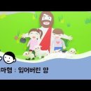 양한마리 이미지