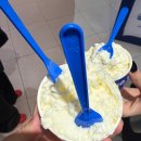 🍨 서울 코엑스 맛집 추천! 달콤 쫀득한 젤라또 맛집, 빨라쪼델프레도 솔직 후기! 🥰