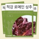 베스트하우스 쇼핑하우