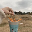 동광목장 이미지