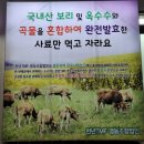 천년한우TMF영농조합법인 네이버블로그