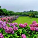 동광리-10 이미지