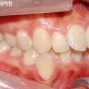 미켈란치과의원 이미지