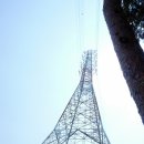 소정면사무소 이미지