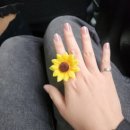 헐PC방 | 루시 LUCIDLINE 중콘 후기 (티켓링크아레나, 스탠딩 366번)