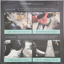 유성크리닝 | 일산 에바크리닝 잘하는 치카치카 플러스 손세차에서 에어컨 악취 해결 후기
