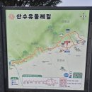 님마을민들레 | [이천 산수유마을]#이천도립리 산수유마을 개화상태(2026.3.29.)