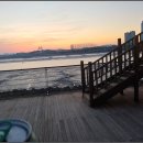 노을부동산중개 | 배곧한라비발디와 배곧한울부동산, 배곧 생활이 더 특별해지는 이유✨