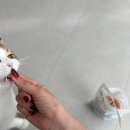 닥터캣 고양이병원 | [리뷰일기] 고양이 신장 건강 보조제 닥터토루 영양제트릿 후기 | 기호성 최고