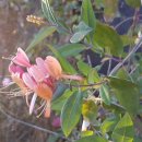 청등농장 이미지