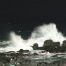 제주파도소리 이미지