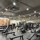 프레토 휘트니스 이미지