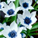 재미있는 일본어 회화 중급 이미지