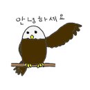 노원-현장-1528 이미지