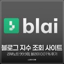 네이버 블로그 지수 조회 사이트 블라이 활용법 및 내 지수 확인 후기