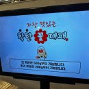 마산회원구 ⓒ-21 이미지