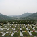 강산장묘 - 중구 도화골4길 2 | 강산장묘