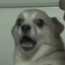 김일환 | 스냅픽 개인 프로필 촬영 후기-배우 김일환 님