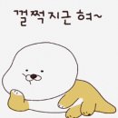 인스타염
