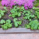 오정중앙경로당 이미지