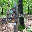 우암산등산로1 이미지