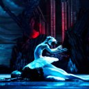 유니버설 발레단 <백조의 호수> 이미지