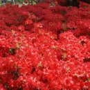 탑골산장 이미지