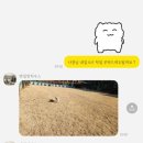 텐빌멍하우스 네이버블로그