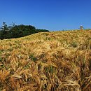 선학체육관 이미지