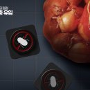 대건식품
