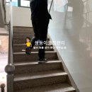 금정용역
